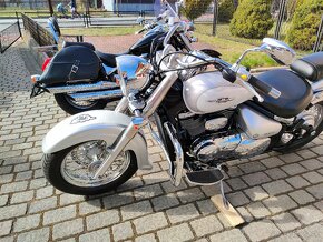 Suzuki C 800 VL 800 Intruder Volusia - 7