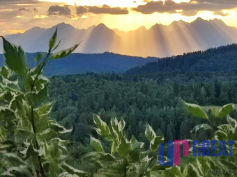 Pozemok NA PREDAJ v obci Uloža (okres Levoča) 1000m2 - 7