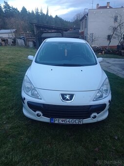 Peugeot 307 - 7