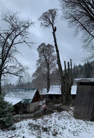 Rizikvý výrub / rizikové pílenie stromov - 7