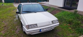 Citroen BX 1.9d - 7