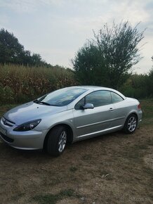 PEUGEOT 307cc 1.6i - 7