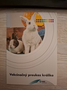 Zakrsly králik s príslušenstvom. - 7