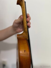 Amati - 7