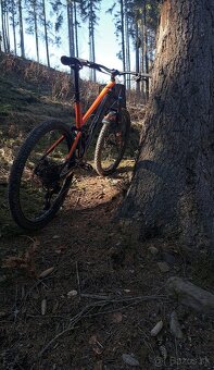 Mondraker Foxy 2021 XL - 7