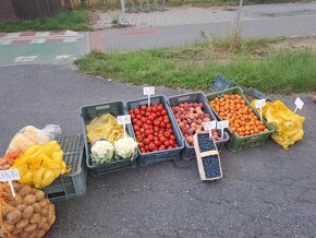 Ovocie zelenina lacno velkosklad preda - 7