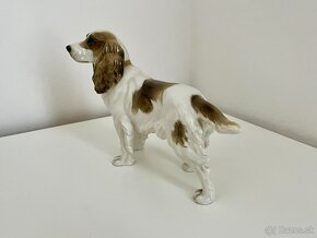 Porcelanovy pes springerspaniel Hutschenreuther - 7