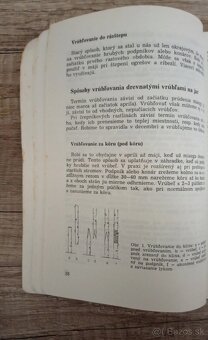 Poradca záhradkára (rok vydania 1988) - 7