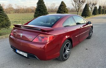 Peugeot 407 Coupe 2,7 HDi A/T - 7