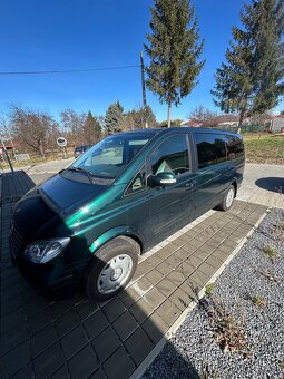 Mercedes Viano - 7