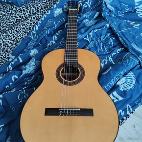 Martinez Guitarra - 7