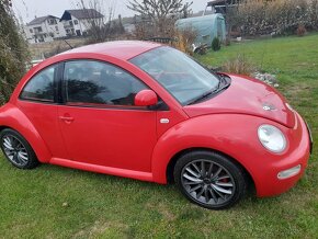 New beetle - 7