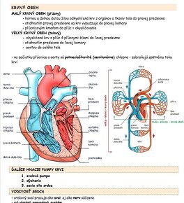 MATURITA biológia, chémia, fyzika - 7