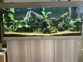 Akvarium Juwel Rio 240 l - 7