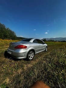 307 cc peugeot - 7