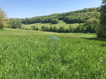 Pekný pozemok (3,2ha) na Hrušove. - 7