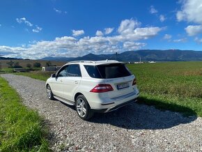 Mercedes ML 350 Bluetec - 7