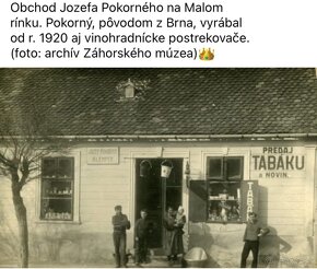 Vinohradnícky injektor Skalica, Pokorný - 7