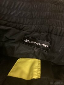 Lyžiarske dámske nohavice Alpine Pro - 7