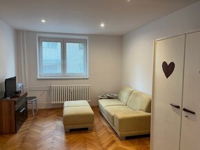 FLAT FOR RENT (2 rooms) / 2-IZBOVÝ BYT NA PRENÁJOM - 7