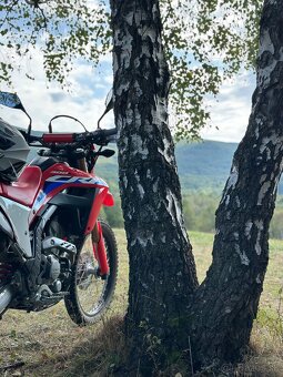 Honda crf 300l - 7