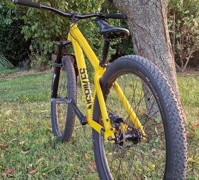 Nsbikes decade custom dirt - 7