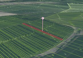 Vysoká pri Morave – 1.259 m2 LES podiel 1/1 – Predaj - 7