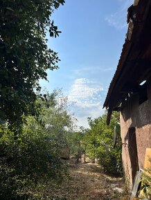 Stary dom s velkym pozemkom Beladice-Malé Chrašťany - 7