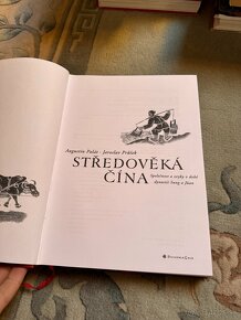 Středověká Čína - 7