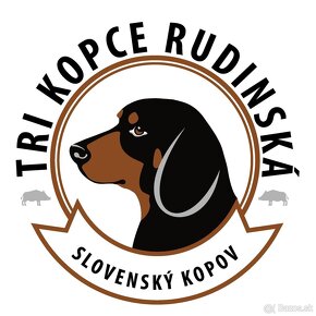 slovenský kopov - 7