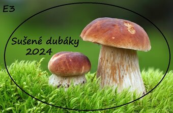 Sušené hríby/ dubáky - 7