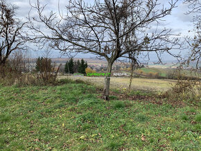 Predaj pozemok 15800 m2, Abranovce, okr. Prešov - 7