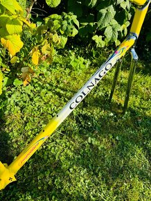 Colnago Master Olympic Art Decor - 7