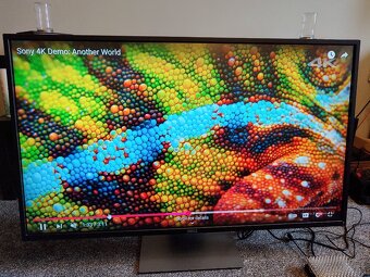 Predam 43“ monitor Dell s rozlišením 4K - 7