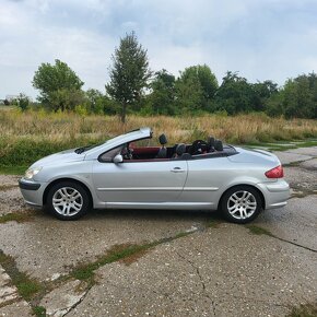 Peugeot 307 CC - 7