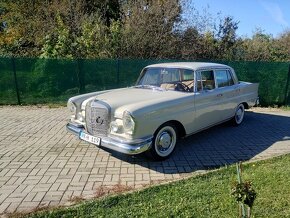 Mercedes  230 heckflosse - 7