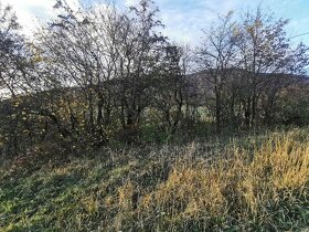 Rekreačný pozemok v Košeckom Podhradí, 727 m2 - 7