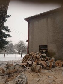 Výškové práce - rizikové pílenie - štiepkovanie - 7