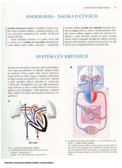 ČIHÁK - 7