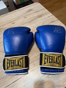 Boxerské rukavice OZ12 Everlast 1910 Classic Training - 7