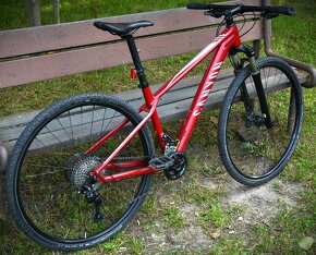 Damsky Canyon Pathlite 4.0 (2020) - 7