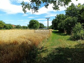 HALO reality - Predaj, rodinný dom Jablonica, Veľký pozemok  - 7