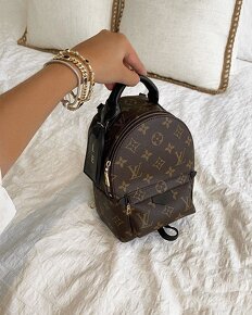 Louis Vuitton Backpack Palm Spring Mini monogram - 7