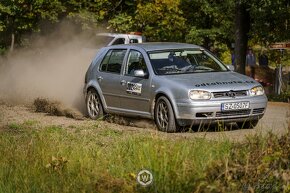 Volkswagen Golf Mk4 Arl Tdi 4motion - 7