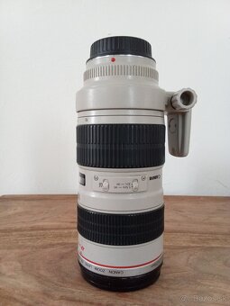 Canon 70-200 f2.8 IS - 7