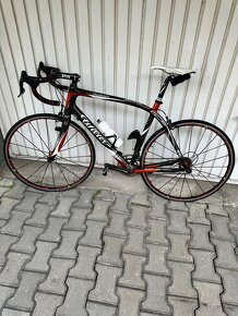 Wilier - 7