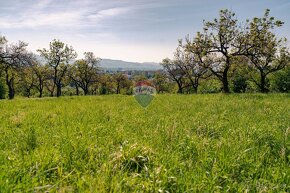 PREDAJ - pozemok (záhrada, ovocný sad), Nové Mesto nad Váhom - 7