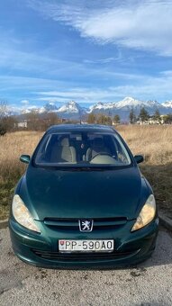 Peugeot 307 1.6 XR - 7