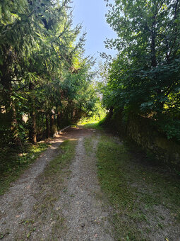 Predám chatu 2km od centra BB ,Laskomer slnečný pozemok - 7