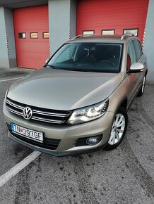 Tiguan - 7